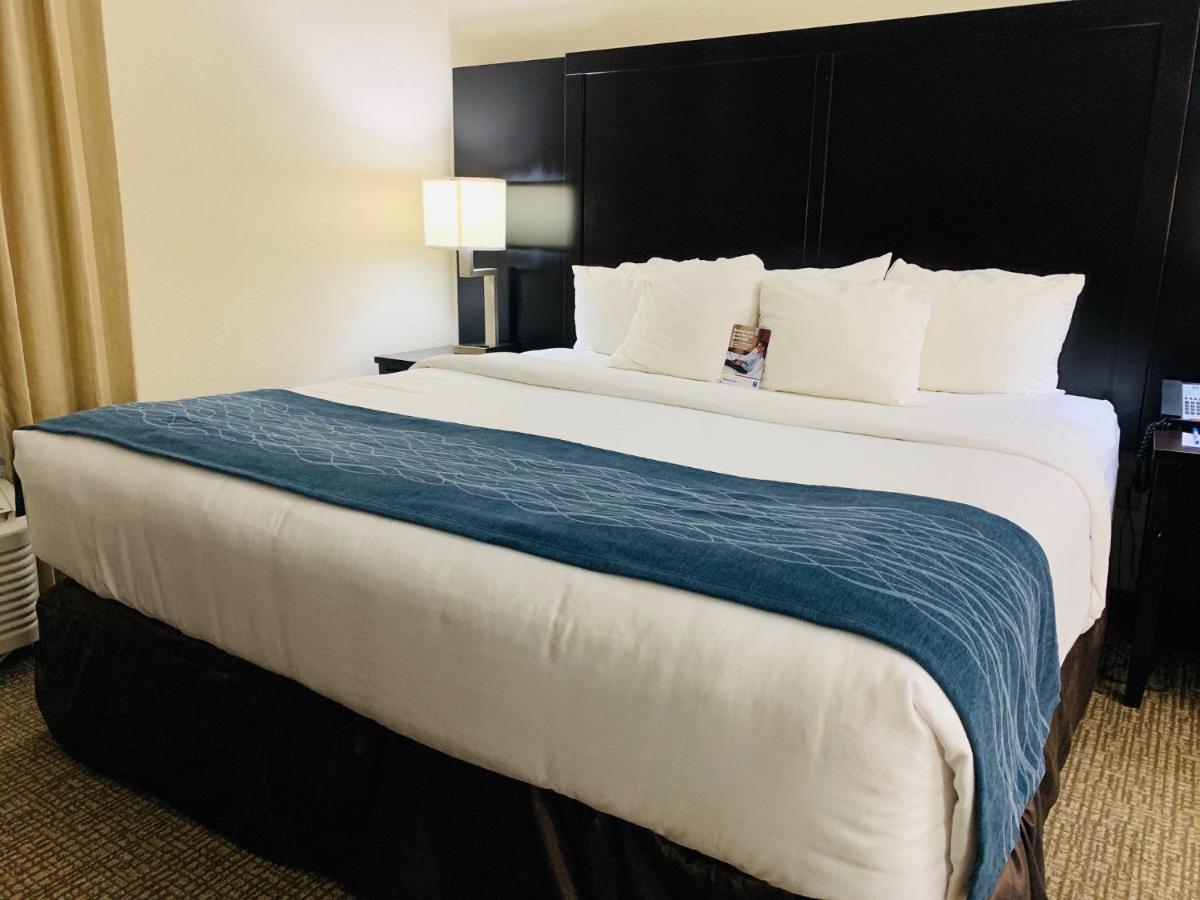 Comfort Inn & Suites Atlanta-Smyrna Kültér fotó
